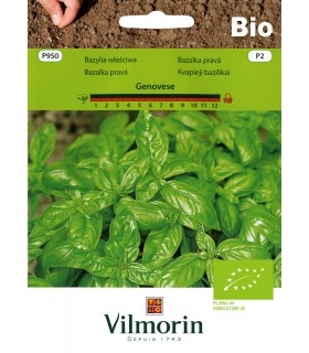 VPZ BIO BAZYLIA GENOVESE 1g /P2/