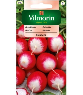 V - RZODKIEWKA POLONEZA 5G (2)