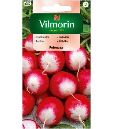 V - RZODKIEWKA POLONEZA 5G (2)