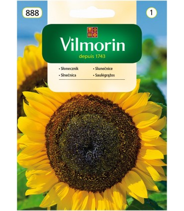 V - SŁONECZNIK OGRODOWY 20G (1)