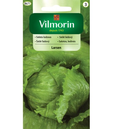 V - SAŁATA LODOWA LARSEN 0,5G (3)