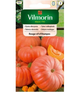 V - DYNIA OLBRZYMIA ROUGE VIF D'ETAMPES 3G (2)