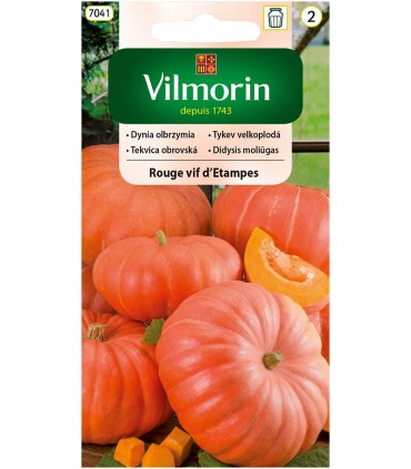 V - DYNIA OLBRZYMIA ROUGE VIF D'ETAMPES 3G (2)