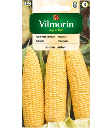 V - KUKURYDZA GOLDEN BANTAM 20g /3/