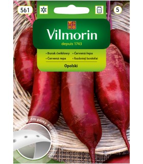 V - TAŚMA BURAK OPOLSKI 6M (5)