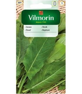 V - SZCZAW LYOŃSKI  2G (1)