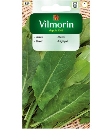 V - SZCZAW LYOŃSKI  2G (1)