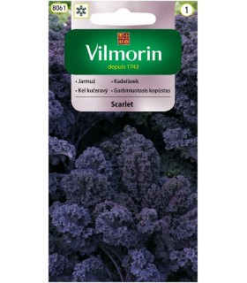 V - JARMUŻ CZERWONY SCARLET 2g /1/