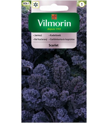 V - JARMUŻ CZERWONY SCARLET 2g /1/