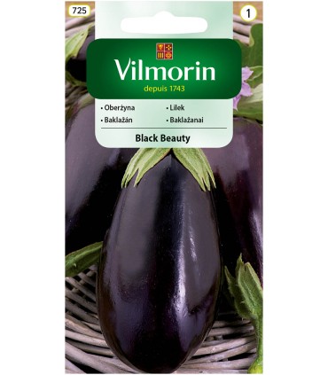 V - OBERŻYNA BLACK BEAUTY 2g /1/