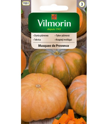 V - DYNIA PIŻMOWA MUSQUEE DE PROVENCE 2g (3)