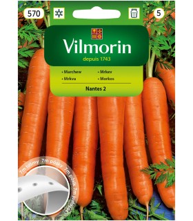 V - TAŚMA MARCHEW NANTES 2 7M (5)