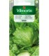 V - SAŁATA LODOWA SALADIN 0,2g /4/