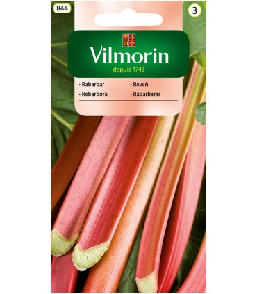 V - RABARBAR VICTORIA 0,5G (3)