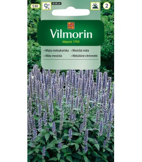 VCZ MIĘTA MEKSYKAŃSKA  0,1G (2)