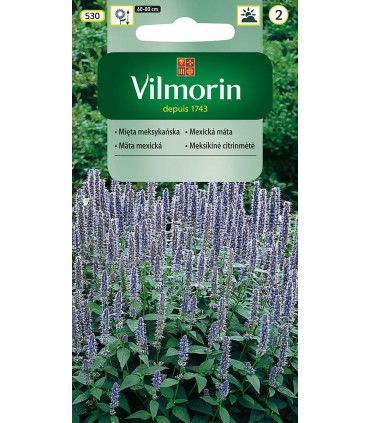 VCZ MIĘTA MEKSYKAŃSKA  0,1G (2)