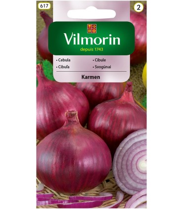 V - CEBULA KARMEN 2G (2)