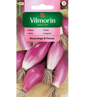 V - CEBULA ROSA LUNGA DI FIRENZE 2G (3)