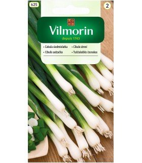 V - CEBULA SIEDMIOLATKA BAJKAL 2G (2)