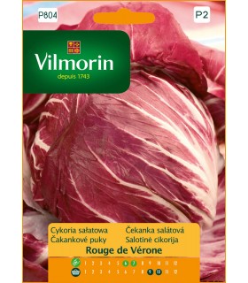 VP - CYKORIA SAŁATOWA ROUGE DE VERONE 5G (P2)