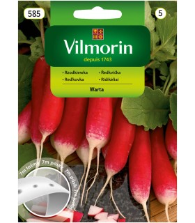 V - TAŚMA RZODKIEWKA WARTA 7M (5)