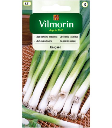 V - CEBULA SIEDMBIAŁA KAIGARO 2g (3)