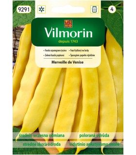 V - FASOLA SZPAR. ŻÓŁTA MERVEILLE DE VEN. 10g /4/
