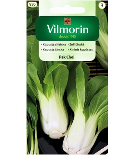 V - KAPUSTA CHIŃSKA PAK CHOI 2g /3/