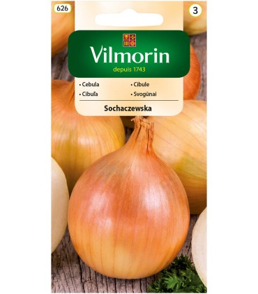 V - CEBULA SOCHACZEWSKA 5g (3)