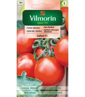 V - POMIDOR GALANT F1 0,2g /5/