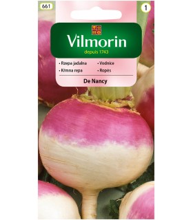 V - RZEPA JADALNA DE NANCY 5G (1)