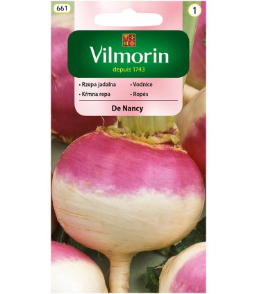 V - RZEPA JADALNA DE NANCY 5G (1)
