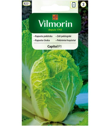 V - KAPUSTA PEKIŃSKA CAPITOL F1 0,5g (3)