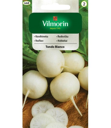 V - RZODKIEWKA TONDO BIANCO 5g /2/