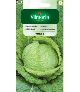 V - KAPUSTA WŁOSKA VERTUS 2 2g (2)