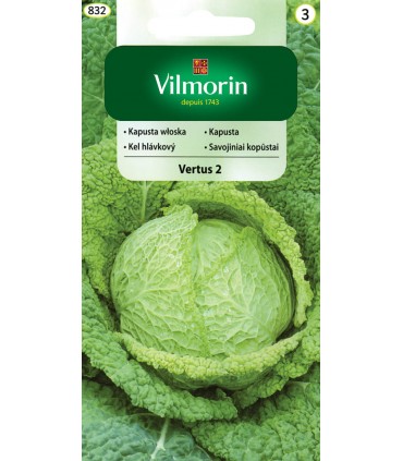 V - KAPUSTA WŁOSKA VERTUS 2 2g (2)
