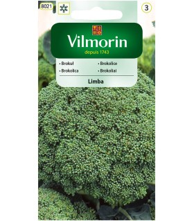 V - BROKUŁ LIMBA 1G (3)