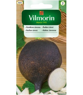 V - RZODKIEW RUNDER SCHWARZER 5g /2/