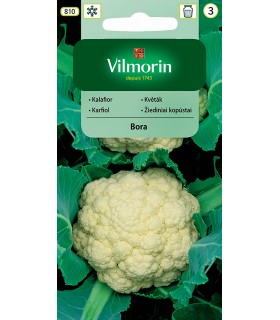 V - KALAFIOR BORA 1g (3)