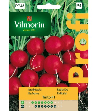 VP - RZODKIEWKA TINTO F1 5g (P4)