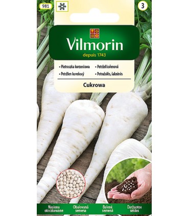 V - (O) PIETRUSZKA CUKROWA 300z /3/