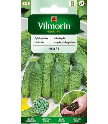 V - (O) OGÓREK HELA F1 50n (3,5)