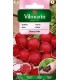 V - (O) RZODKIEWKA CHERRY BELLE 300z (0)