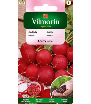 V - (O) RZODKIEWKA CHERRY BELLE 300z (0)