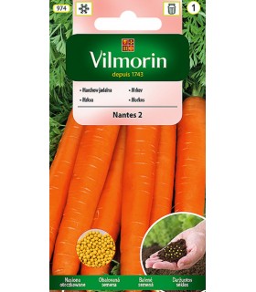 V - (O) MARCHEW NANTES 2 400n (1)