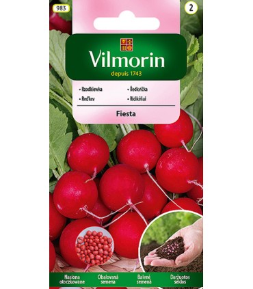 V - (O) RZODKIEWKA FIESTA 300g /2/