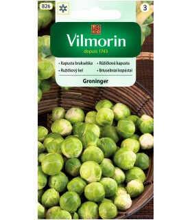 V - KAPUSTA BRUKSELSKA GRONINGER 2G (3)