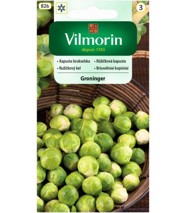 V - KAPUSTA BRUKSELSKA GRONINGER 2G (3)
