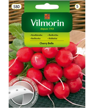 V - TAŚMA RZODKIEWKA CHERRY BELLE 7M (5)