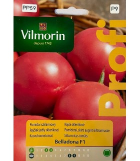 VP - POMIDOR BELLADONA 8N /P9/